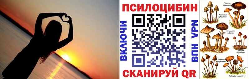 закладки  Вуктыл  Галлюциногенные грибы мицелий 